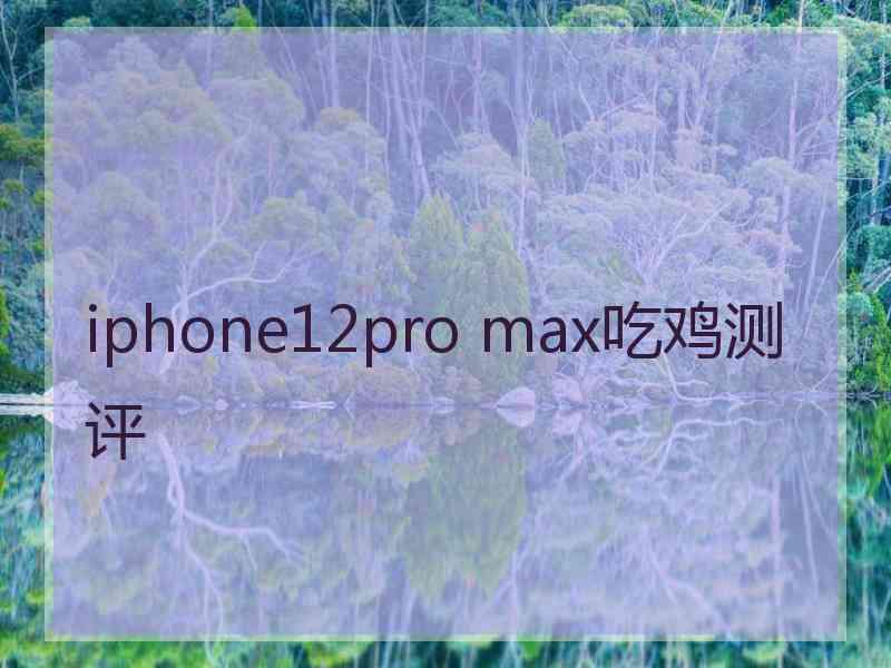 iphone12pro max吃鸡测评