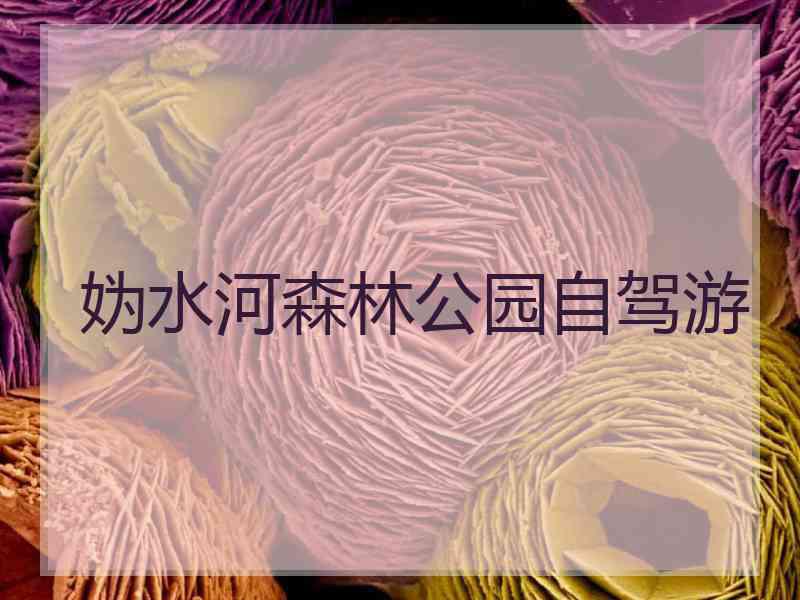 妫水河森林公园自驾游