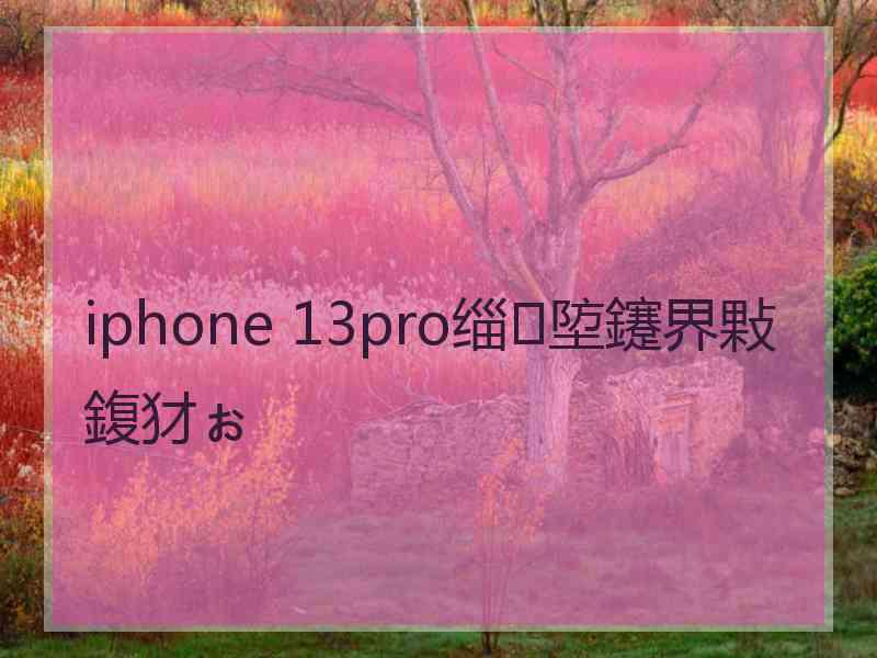 iphone 13pro缁埅鑳界敤鍑犲ぉ