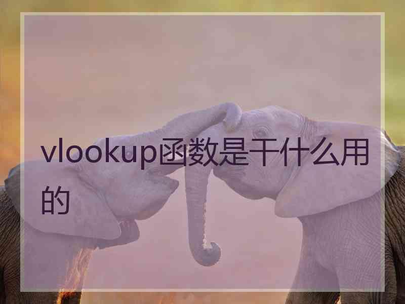 vlookup函数是干什么用的