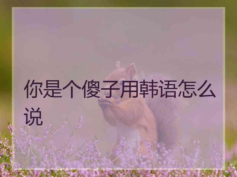 你是个傻子用韩语怎么说