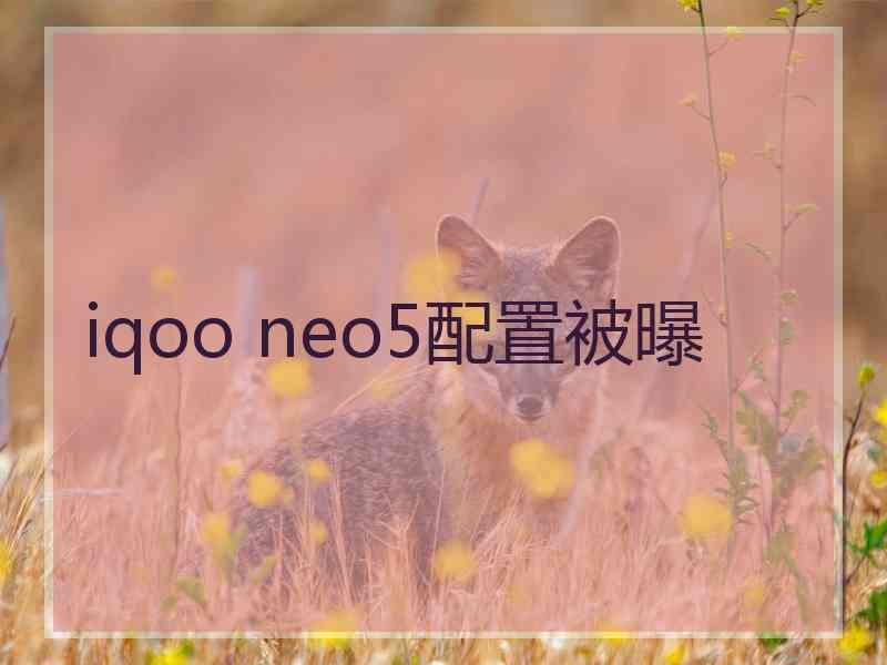 iqoo neo5配置被曝