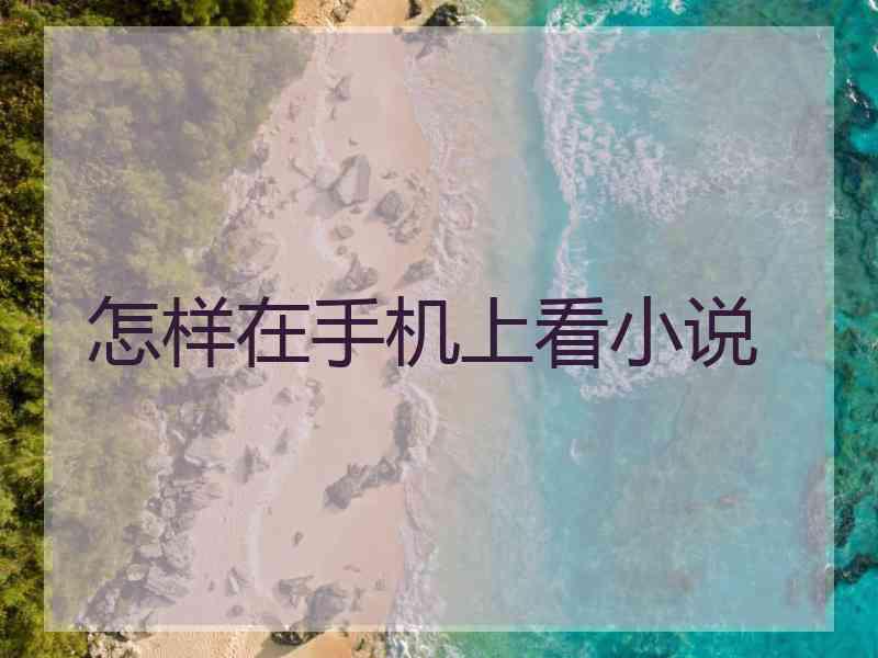 怎样在手机上看小说