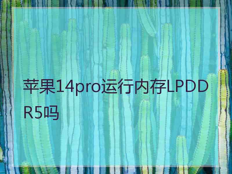 苹果14pro运行内存LPDDR5吗