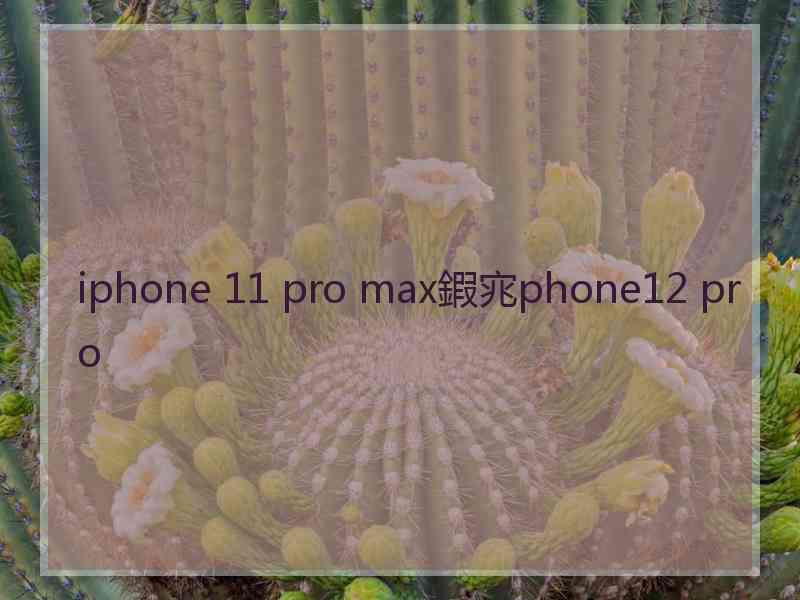 iphone 11 pro max鍜宨phone12 pro