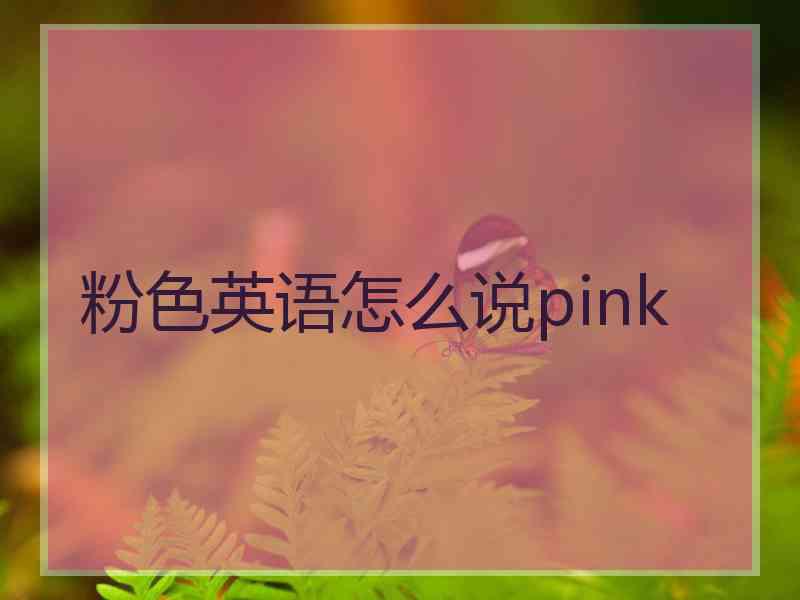 粉色英语怎么说pink