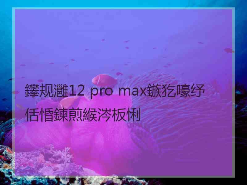 鑻规灉12 pro max鏃犵嚎纾佸惛鍊煎緱涔板悧