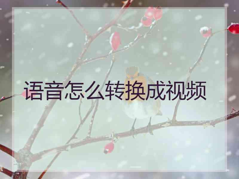 语音怎么转换成视频