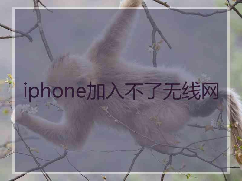 iphone加入不了无线网