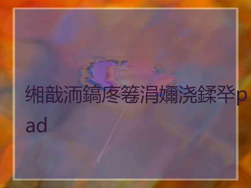 缃戠洏鎬庝箞涓嬭浇鍒癷pad