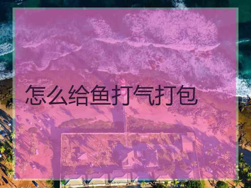 怎么给鱼打气打包