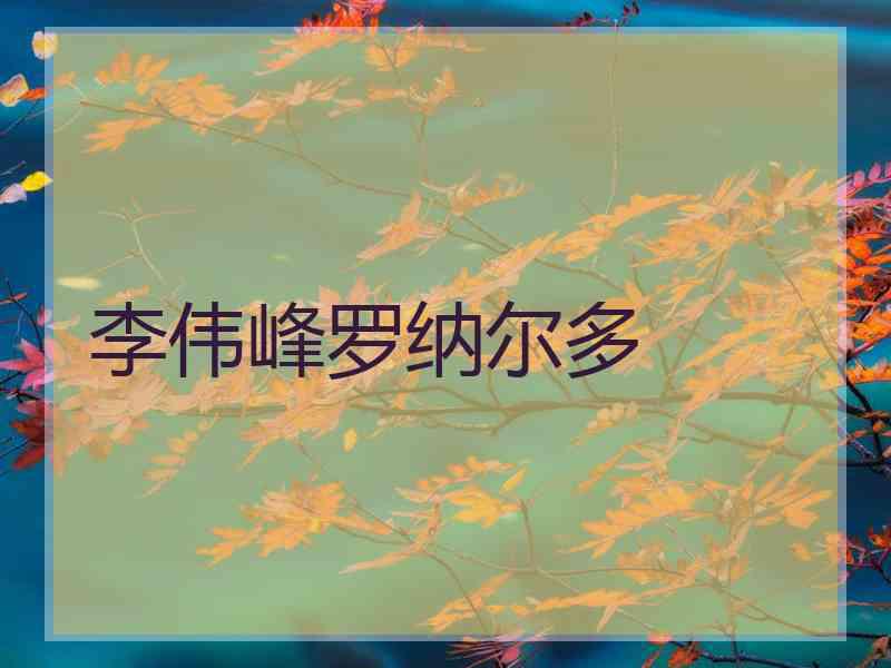 李伟峰罗纳尔多