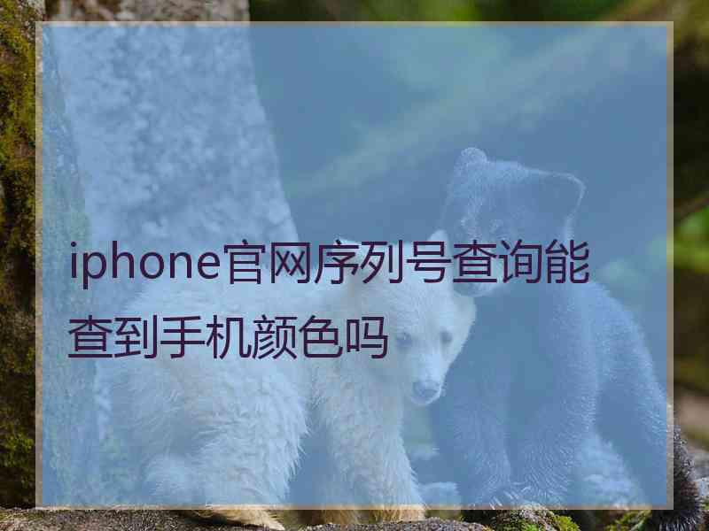 iphone官网序列号查询能查到手机颜色吗