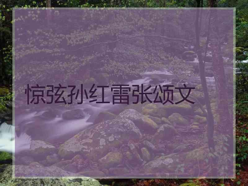 惊弦孙红雷张颂文