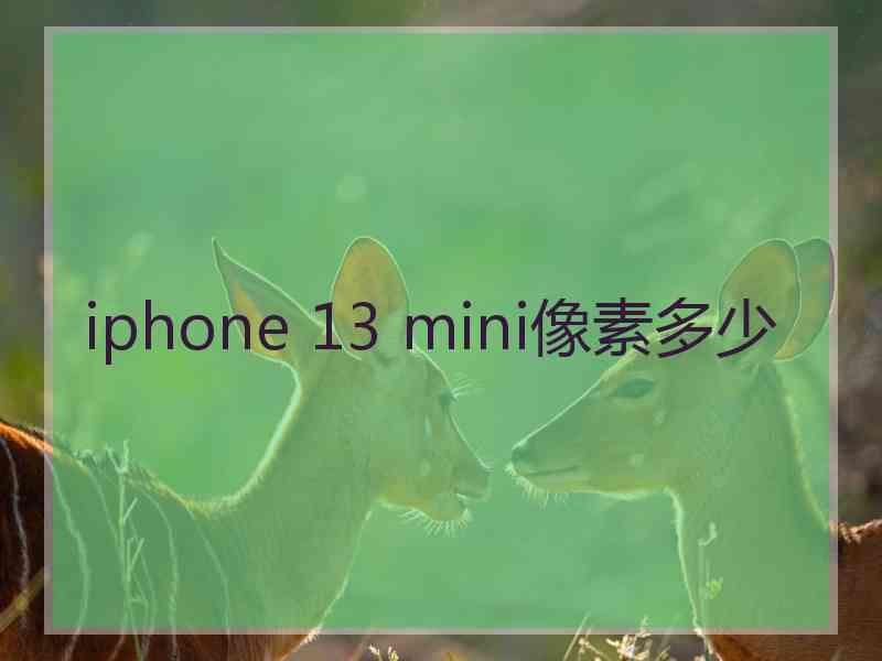 iphone 13 mini像素多少