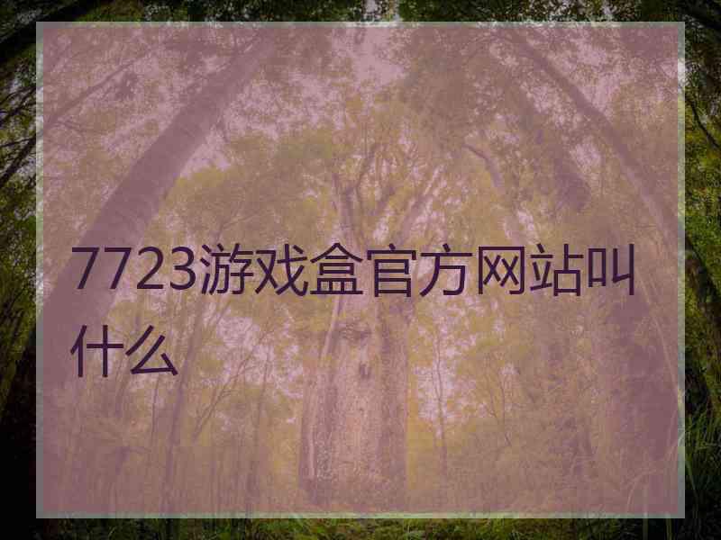 7723游戏盒官方网站叫什么