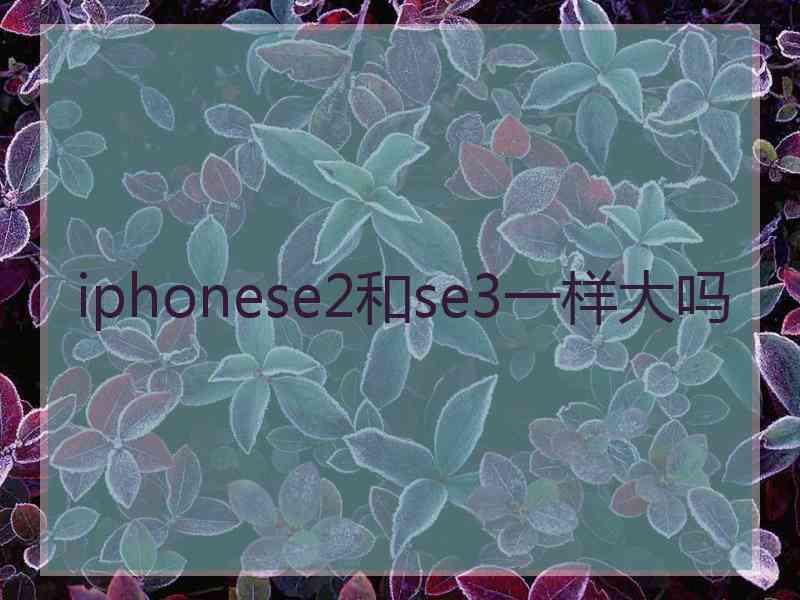 iphonese2和se3一样大吗