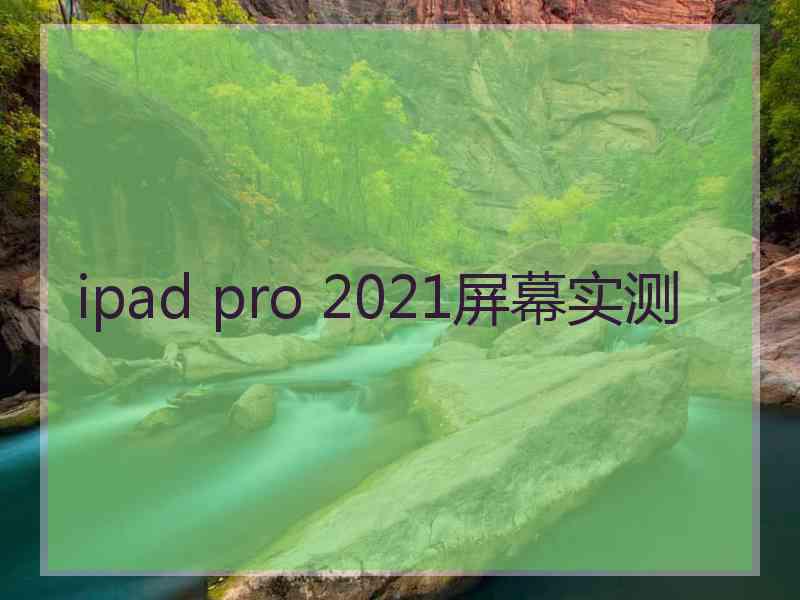 ipad pro 2021屏幕实测