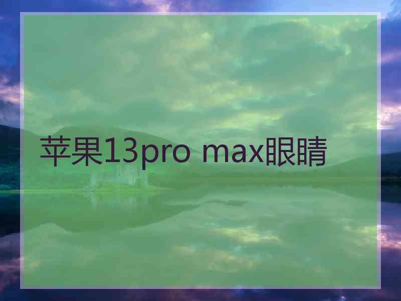 苹果13pro max眼睛