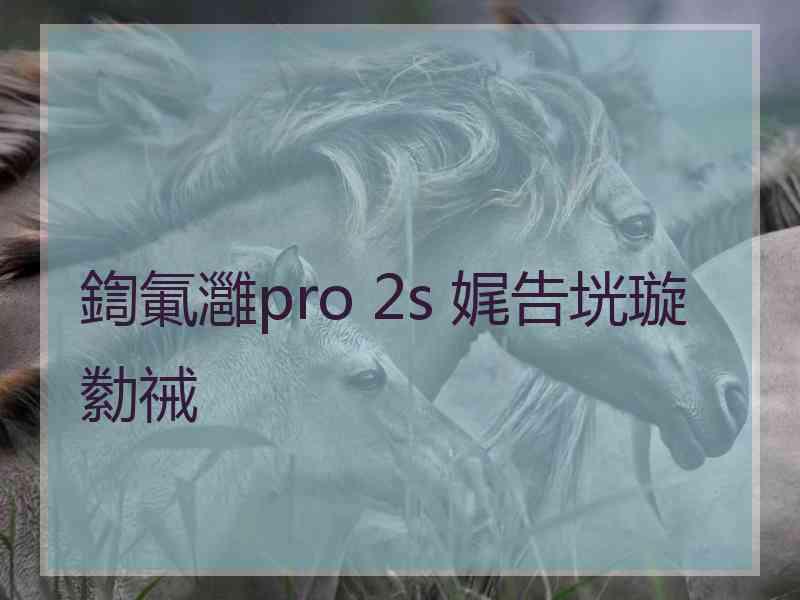 鍧氭灉pro 2s 娓告垙璇勬祴