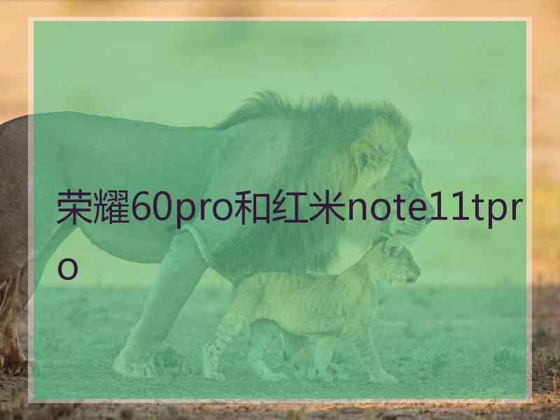 荣耀60pro和红米note11tpro