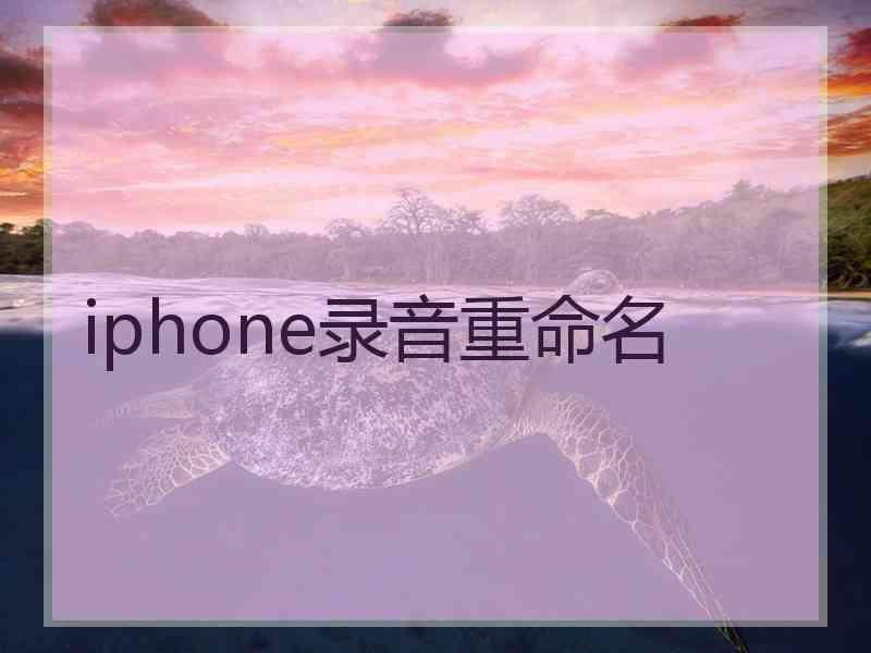 iphone录音重命名