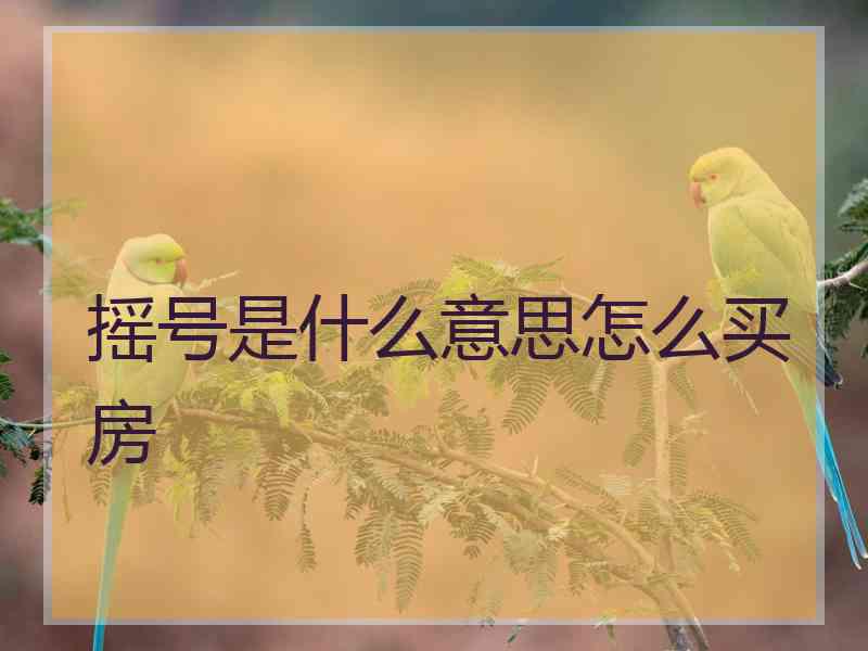 摇号是什么意思怎么买房