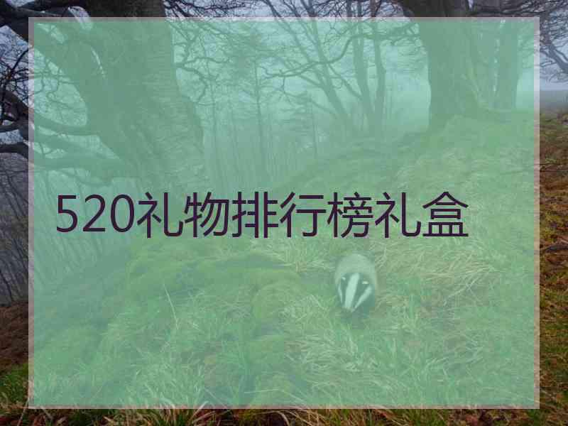 520礼物排行榜礼盒