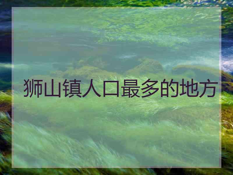 狮山镇人口最多的地方