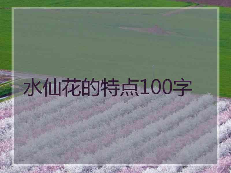 水仙花的特点100字