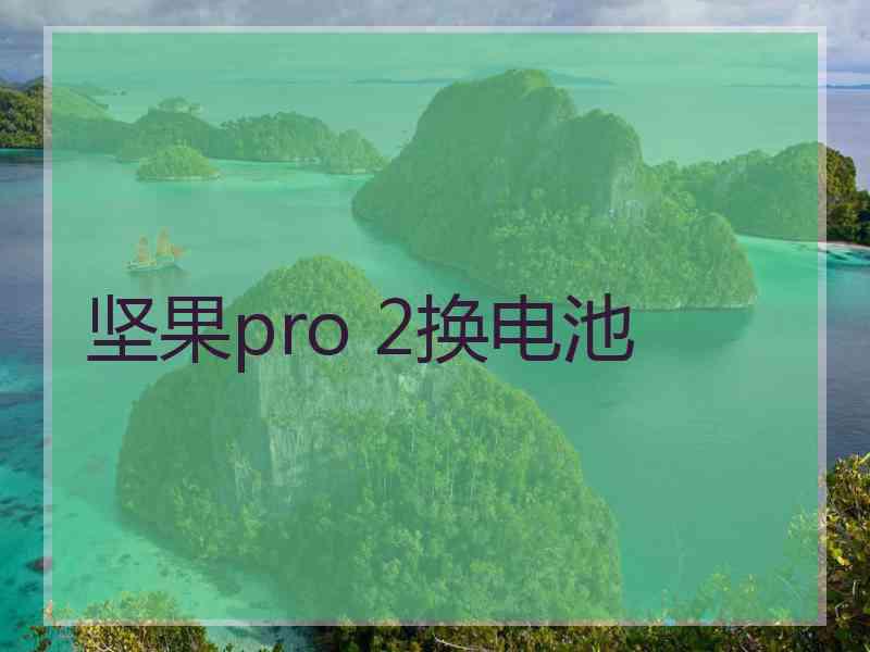 坚果pro 2换电池