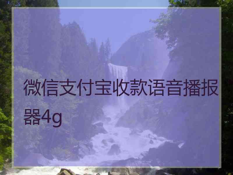 微信支付宝收款语音播报器4g