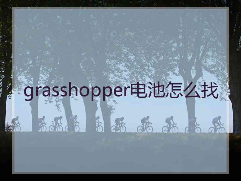 grasshopper电池怎么找