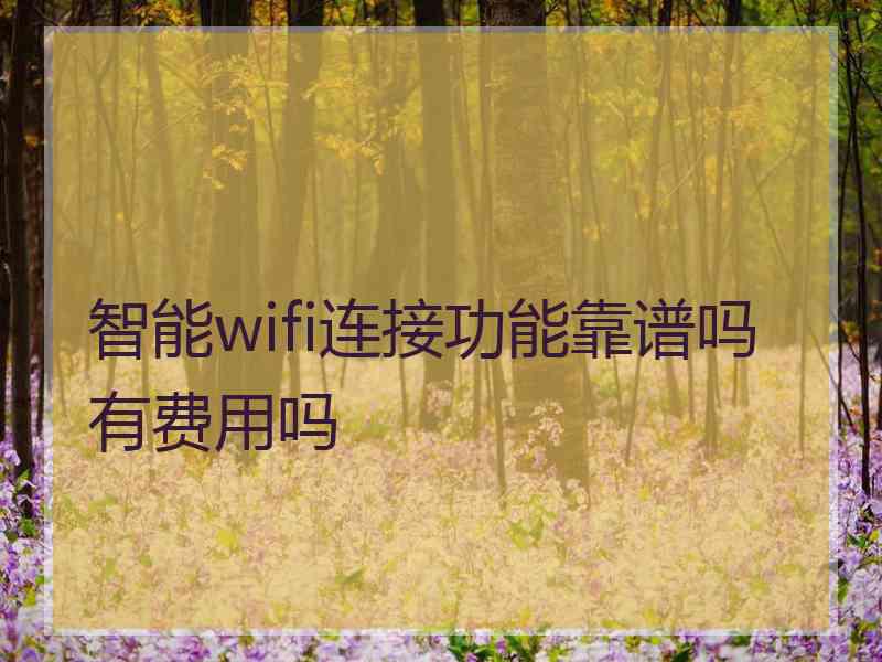 智能wifi连接功能靠谱吗有费用吗