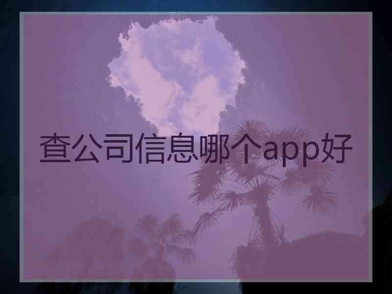 查公司信息哪个app好