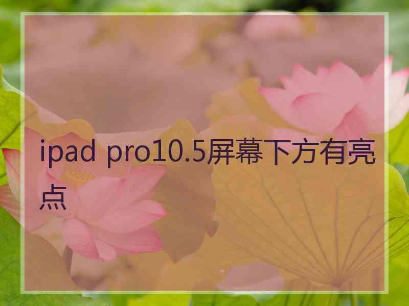 ipad pro10.5屏幕下方有亮点