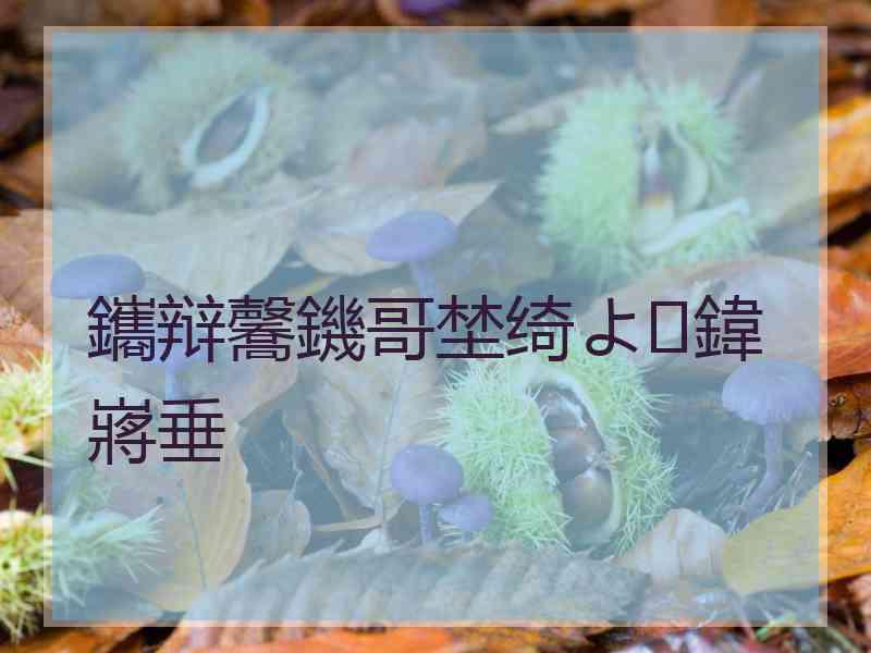 鑴辩毊鐖哥埜绮よ鍏嶈垂