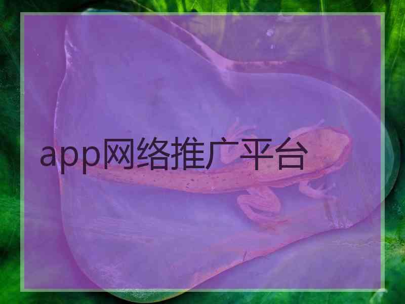 app网络推广平台