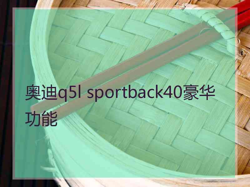 奥迪q5l sportback40豪华功能