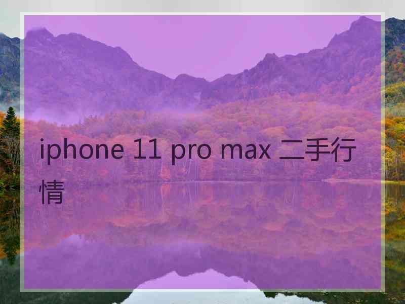 iphone 11 pro max 二手行情