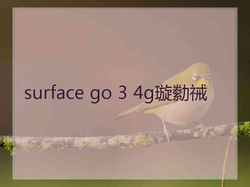 surface go 3 4g璇勬祴