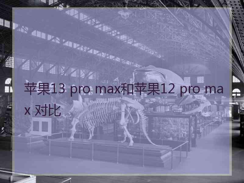 苹果13 pro max和苹果12 pro max 对比