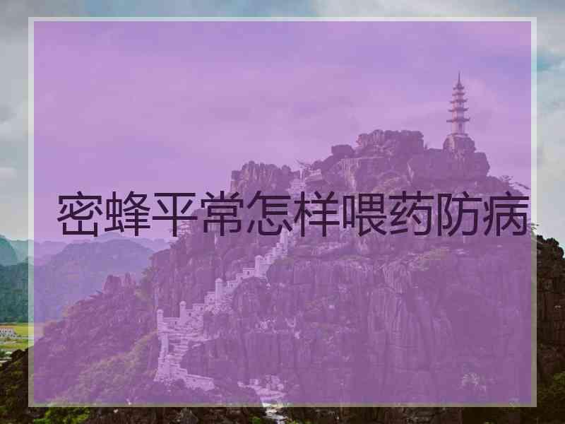 密蜂平常怎样喂药防病