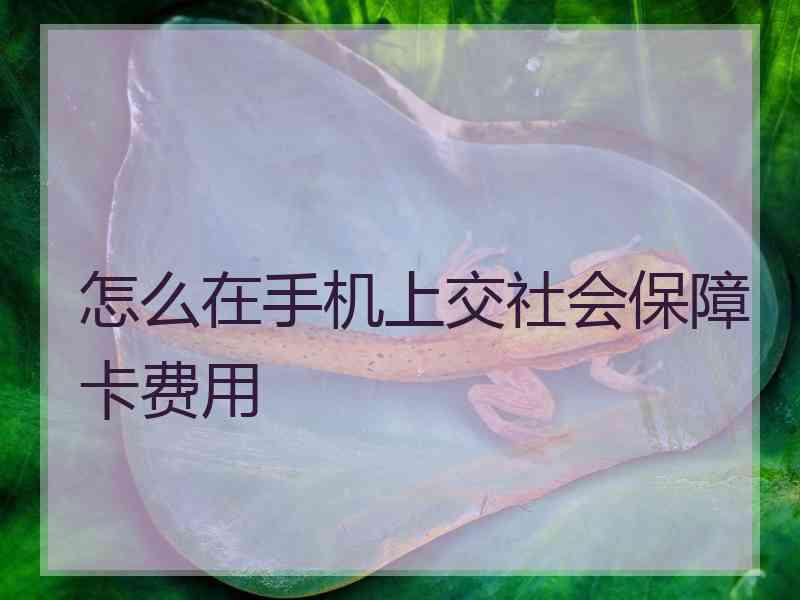 怎么在手机上交社会保障卡费用