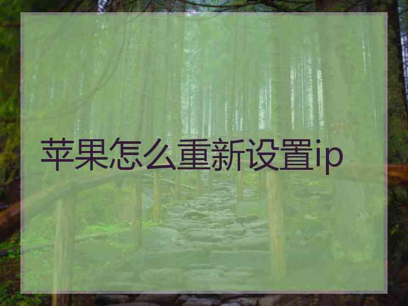 苹果怎么重新设置ip