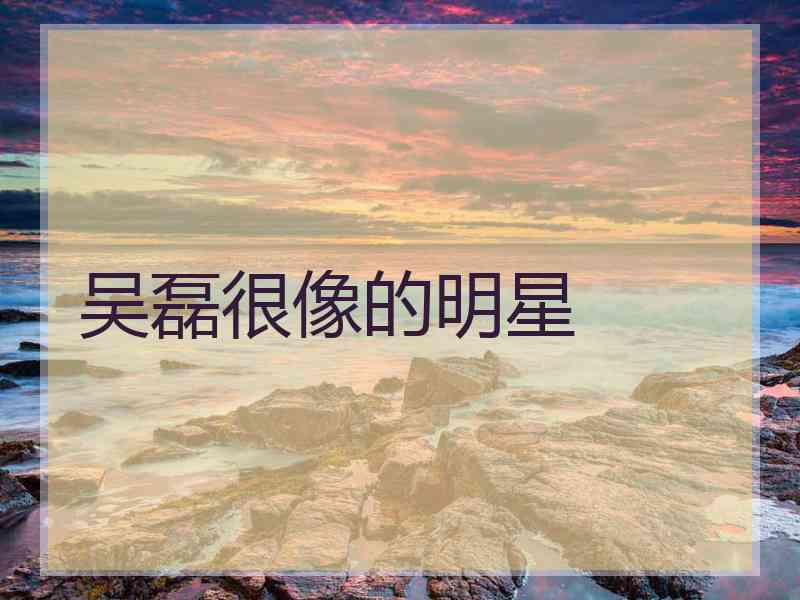 吴磊很像的明星