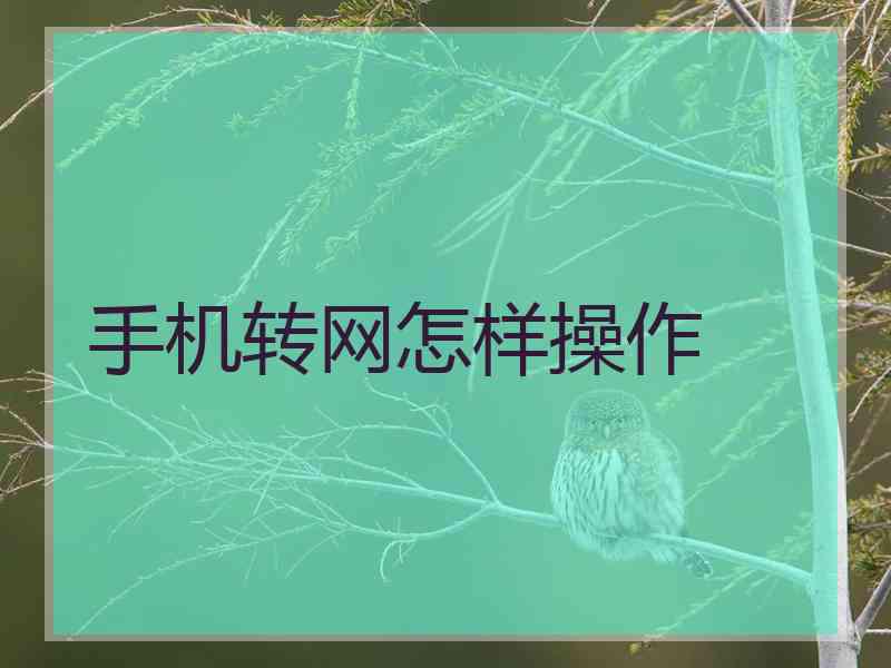 手机转网怎样操作