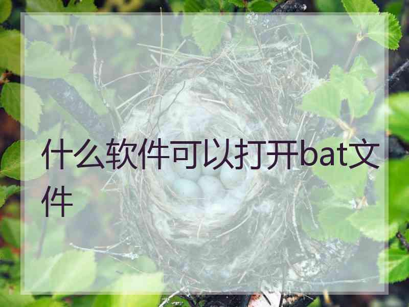 什么软件可以打开bat文件