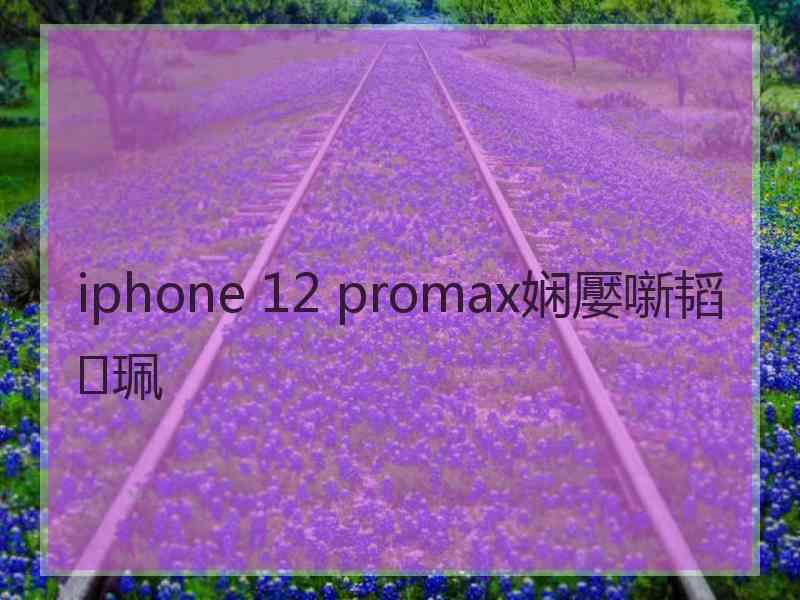 iphone 12 promax娴嬮噺韬珮