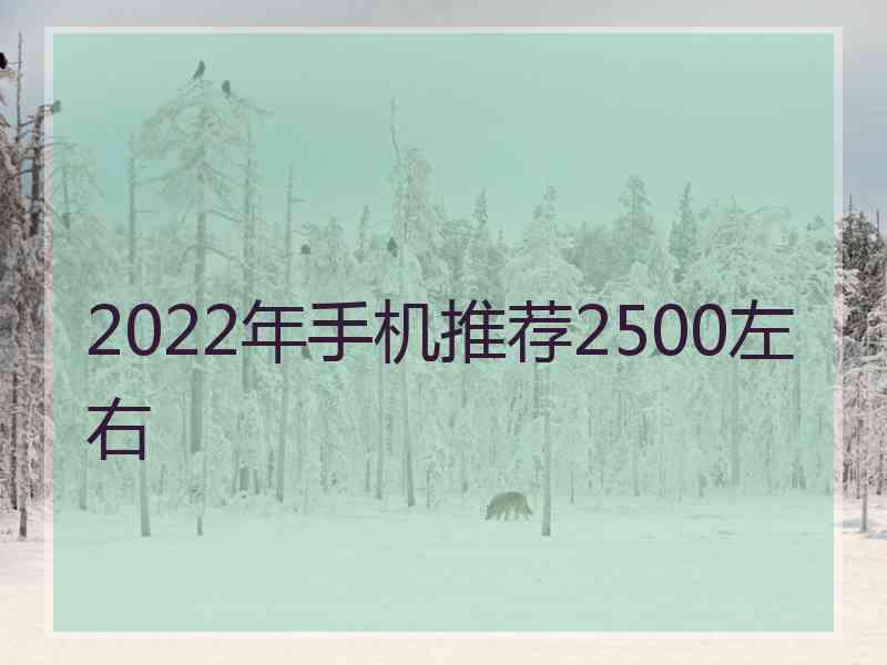 2022年手机推荐2500左右